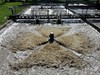 Aerator_pływający_aqua_vulcan_napowietrza_rów_cyrkulacyjny_oczyszczalni_sciekow_mleczarskich